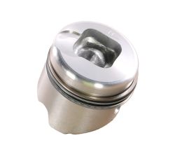 PISTON ASSEMBLY
