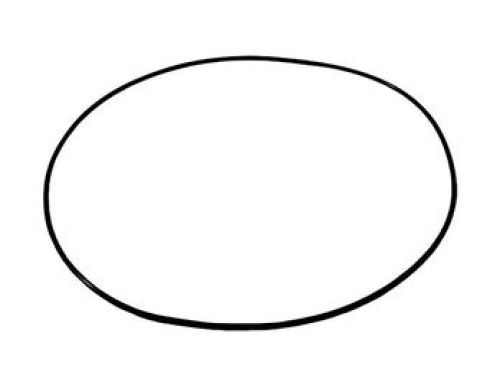 CASE AFTERMARKET O-RING