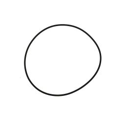 O-RING