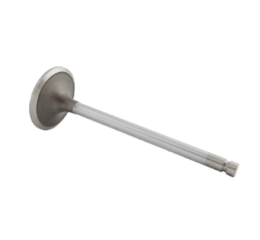 INTAKE VALVE B SERIES