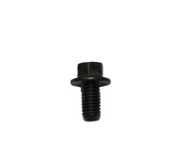 FLANGE SCREW