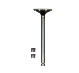 EXHAUST VALVE