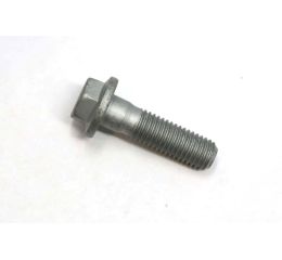 FLANGE SCREW