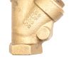 BOBCAT PORTABLE POWER VALVE SWING CHECK 3/4in