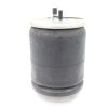 AUTOCAR AIR SPRING