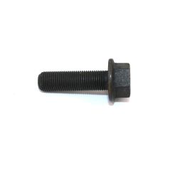 BOLT M10 X 100