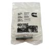 CUMMINS SCREW TWELVE POINT CAP