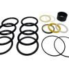 CASE AFTERMARKET SEAL KIT