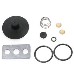 GOVERNOR MAINTENANCE KIT