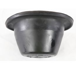 DIAPHRAGM
