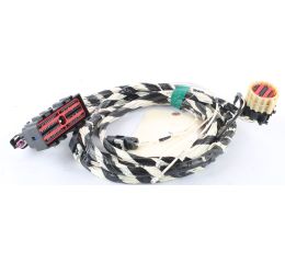 WIRING HARNESS TRANSMISSION