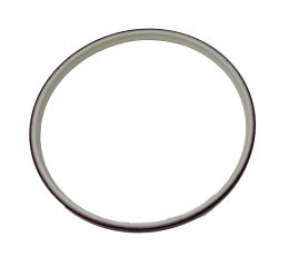 SCRAPER/SEAL RING
