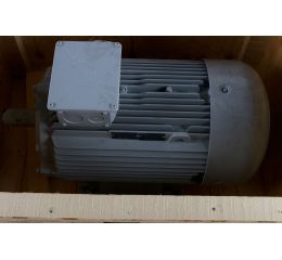 ELECTRIC MOTOR 37/45kW 400V 50Hz