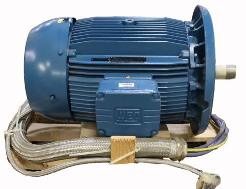 WEG ELECTRIC MOTOR 22.3-75kW 113-380V 25-118Hz
