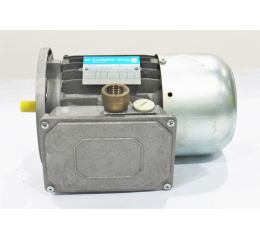 IEC ASYNCHRONOUS IE1 3-PHASE ELECTRIC MOTOR