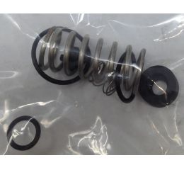VALVE REPAIR KIT