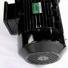 IWS BEVI ELECTRIC MOTOR 5/18kW 400/690//480/830V 50/60