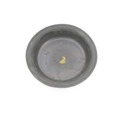 DIAPHRAGM