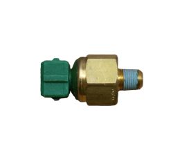 TEMPERATURE SWITCH