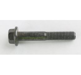 FLANGE SCREW