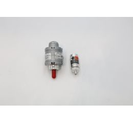 OIL-LESS AIR MOTOR