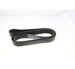 FAN/ALTERNATOR BELT