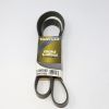 DAYCO GOLD LABEL POLY-RIB SERPENTINE FAN BELT