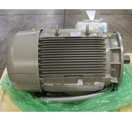ELECTRIC MOTOR 37.7/75kW 192/380V 42/83/114Hz