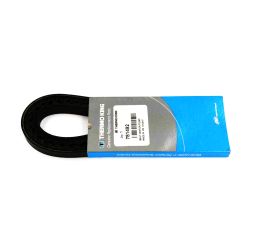 WATER PUMP BELT