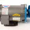 IWS PUMP & MOTOR