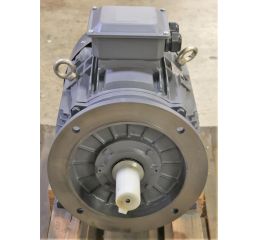 ELECTRIC MOTOR 30/36kW 400/690//480/830V 50/60Hz