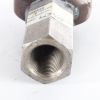 SCHWARZE ROD END HYDRAULIC BOOM CYLINDER