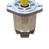 CASAPPA HYDRAULIC GEAR MOTOR