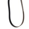 GATES BELT
