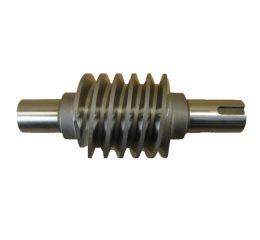 WORM GEAR