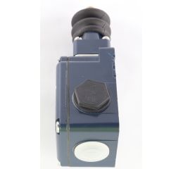 MEDIUM-DUTY POSITION SWITCH W/ TELESCOPIC PLUNGER