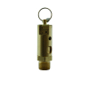 APOLLO PRESSURE RELIEF VALVE-PNEUMATIC 175 PSI 3/4in NPT