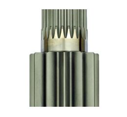 PINION