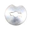 SCHWING CAM PLATE