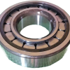 INA CYLINDRICAL ROLLER BEARING 54mm OD