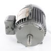 VIKING PUMP ELECTRIC MOTOR 1 HP 208-230/460V 60Hz 3PH 145T