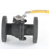 IWS BALL VALVE 2in - GLOBAL