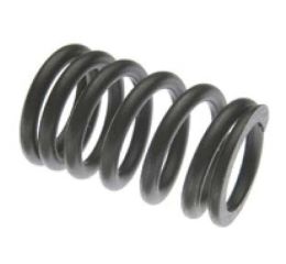 VALVE SPRING
