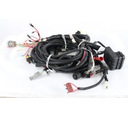 WIRE HARNESS:400 CD IT4 XC2003