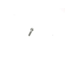 FLANGE SCREW