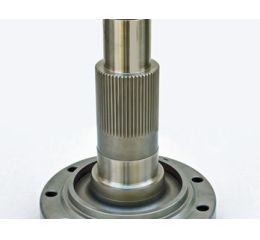 SPINDLE