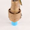 EMERSON - KUNKLE VALVE/CASH VALVE-SAFETY:1.00MPT 150PSI