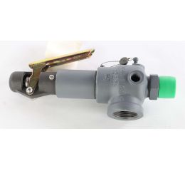 RELIEF VALVE SIZE 3/4in SET 200 PSIG CAP.458 SCFM