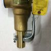 APOLLO PRESSURE RELIEF VALVE 250PSI 1.25\"