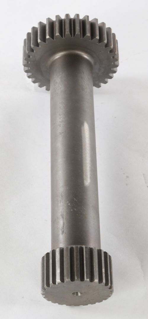 DANA SUN PINION
